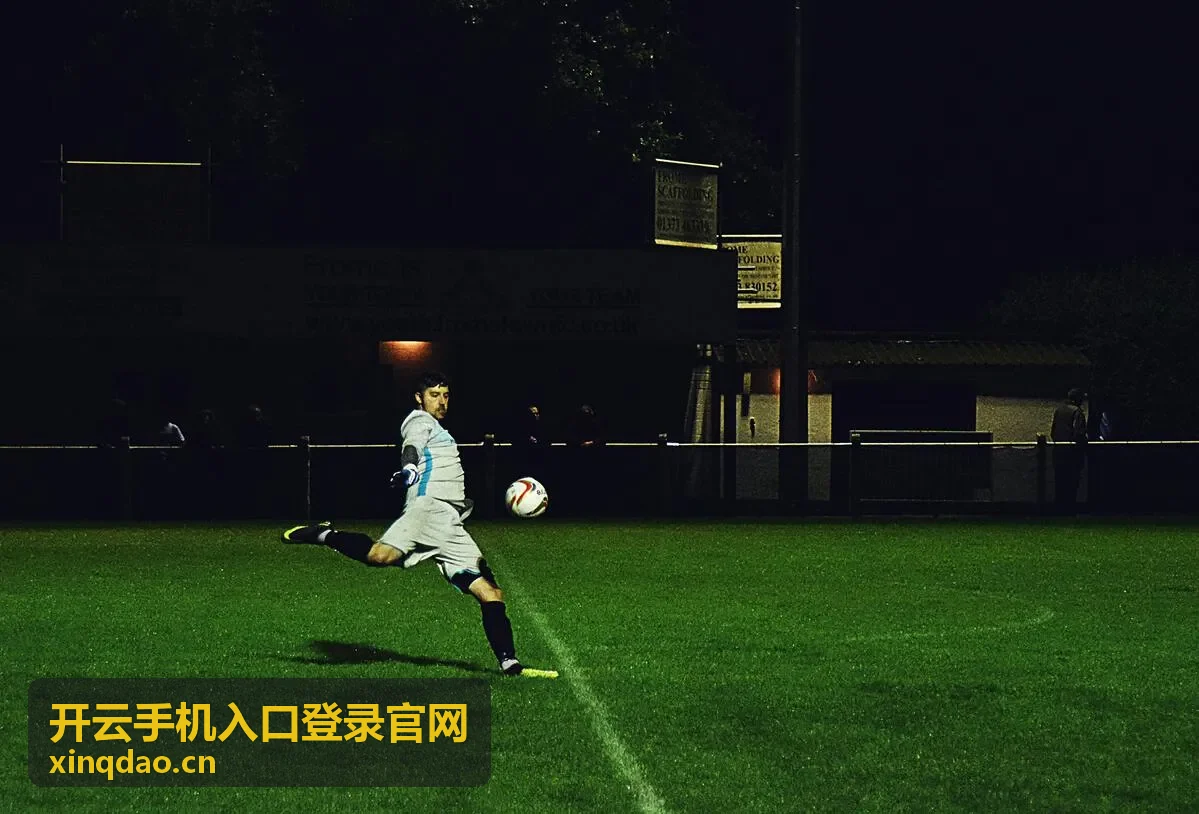 开云手机入口登录官网 客户案例